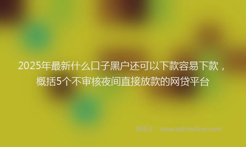 2025年最新什么口子黑户还可以下款容易下款，概括5个不审核夜间直接放款的网贷平台