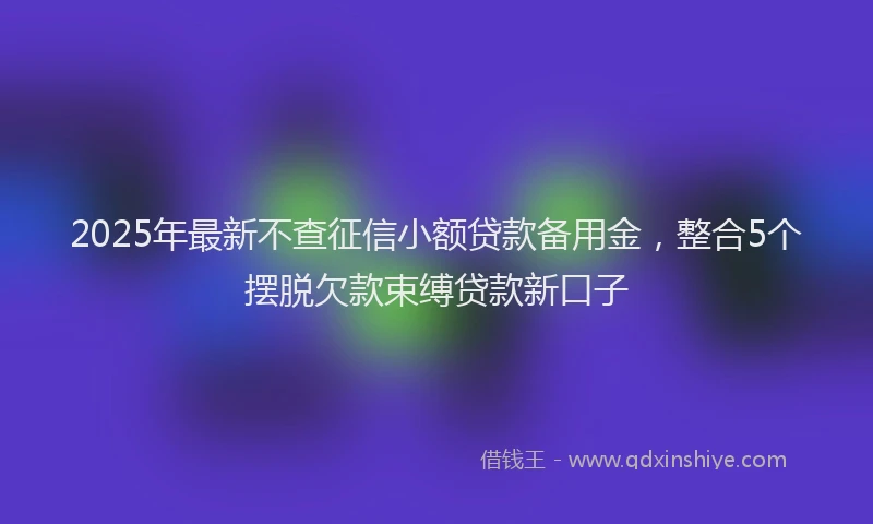 2025年最新不查征信小额贷款备用金，整合5个摆脱欠款束缚贷款新口子