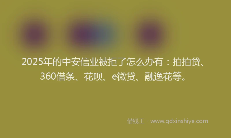 2025年的中安信业被拒了怎么办有：拍拍贷、360借条、花呗、e微贷、融逸花等。