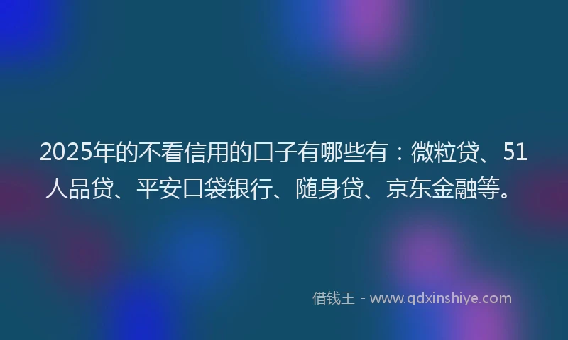 2025年的不看信用的口子有哪些有：微粒贷、51人品贷、平安口袋银行、随身贷、京东金融等。