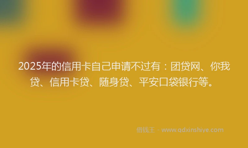 2025年的信用卡自己申请不过有：团贷网、你我贷、信用卡贷、随身贷、平安口袋银行等。