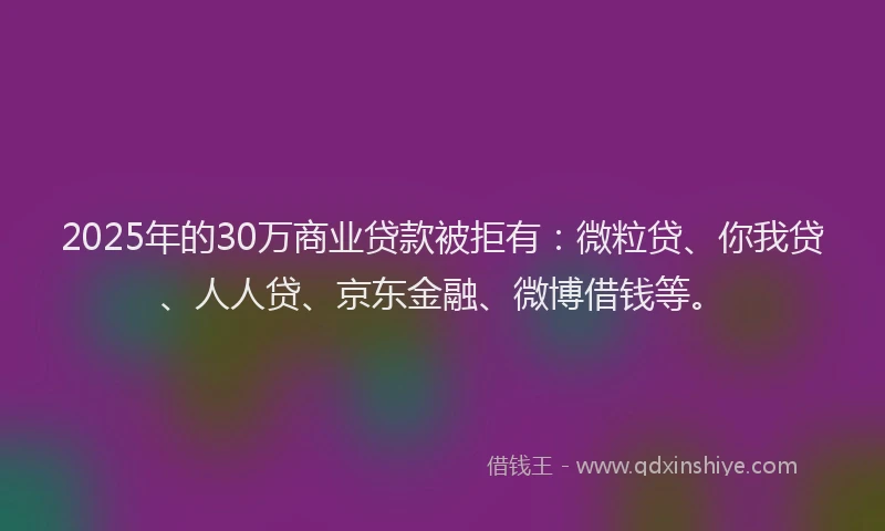 2025年的30万商业贷款被拒有：微粒贷、你我贷、人人贷、京东金融、微博借钱等。