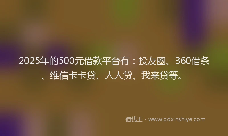 2025年的500元借款平台有：投友圈、360借条、维信卡卡贷、人人贷、我来贷等。