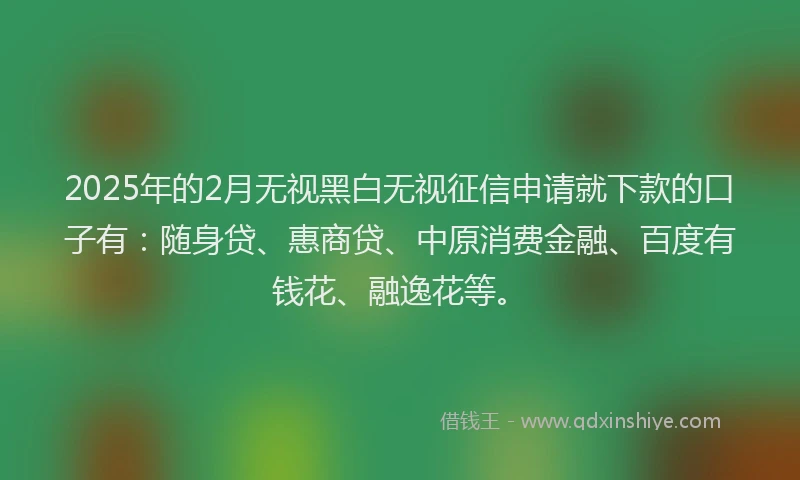 2025年的2月无视黑白无视征信申请就下款的口子有：随身贷、惠商贷、中原消费金融、百度有钱花、融逸花等。