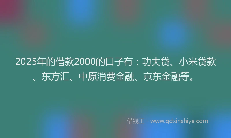2025年的借款2000的口子有：功夫贷、小米贷款、东方汇、中原消费金融、京东金融等。
