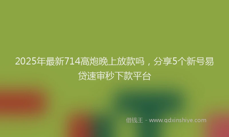 2025年最新714高炮晚上放款吗，分享5个新号易贷速审秒下款平台