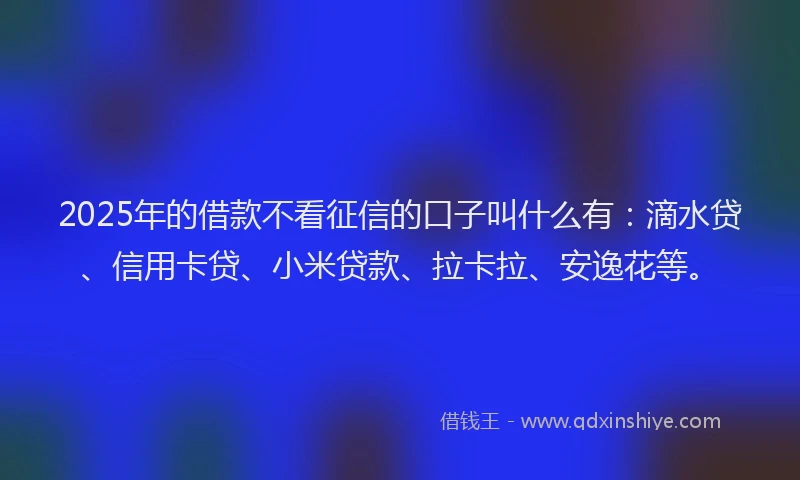 2025年的借款不看征信的口子叫什么有：滴水贷、信用卡贷、小米贷款、拉卡拉、安逸花等。