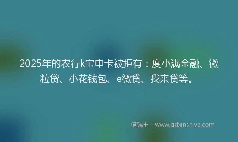 2025年的农行k宝申卡被拒有：度小满金融、微粒贷、小花钱包、e微贷、我来贷等。