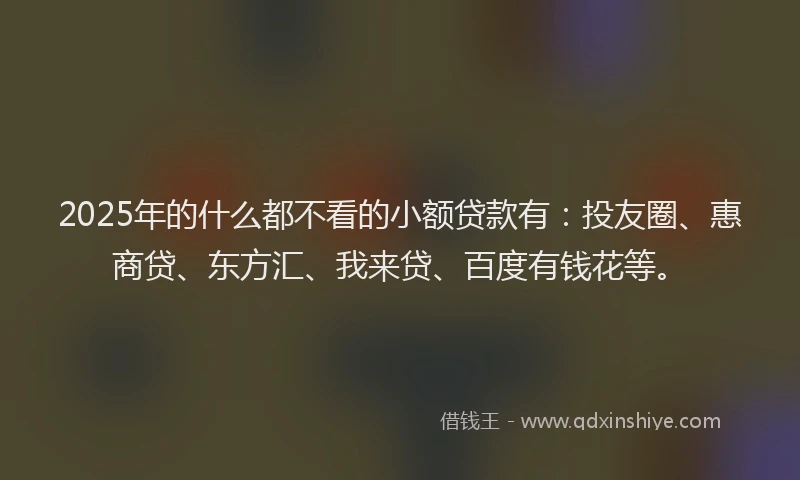 2025年的什么都不看的小额贷款有：投友圈、惠商贷、东方汇、我来贷、百度有钱花等。