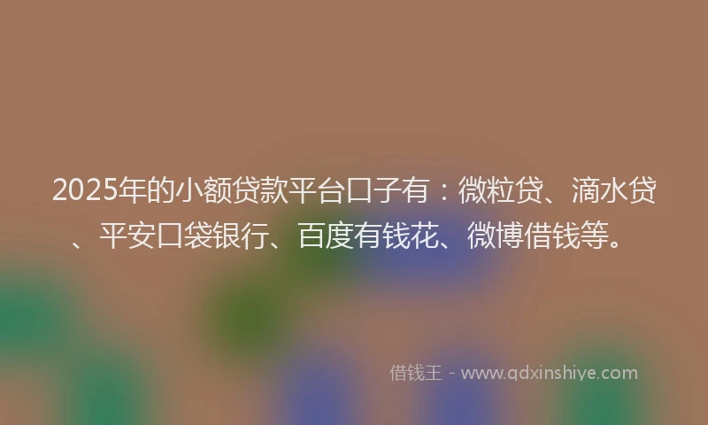 2025年的小额贷款平台口子有：微粒贷、滴水贷、平安口袋银行、百度有钱花、微博借钱等。