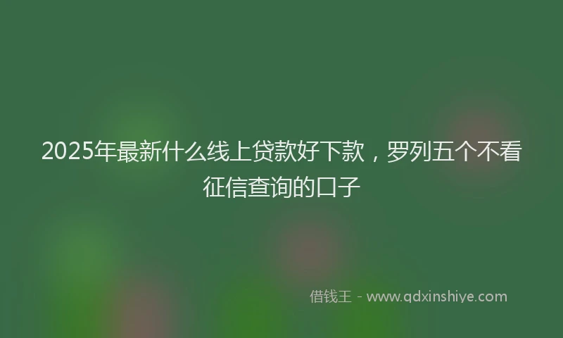 2025年最新什么线上贷款好下款，罗列五个不看征信查询的口子