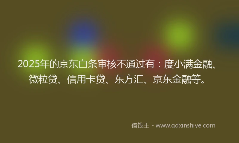 2025年的京东白条审核不通过有：度小满金融、微粒贷、信用卡贷、东方汇、京东金融等。