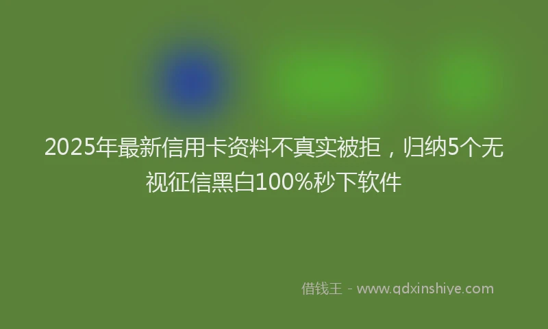 2025年最新信用卡资料不真实被拒，归纳5个无视征信黑白100%秒下软件