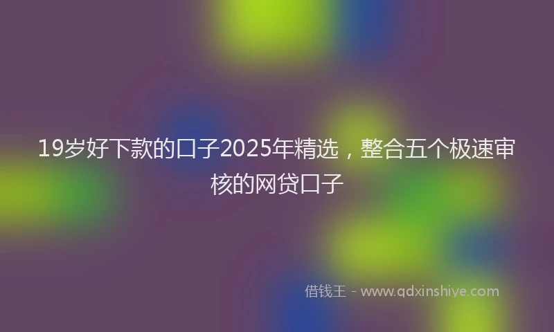 19岁好下款的口子2025年精选，整合五个极速审核的网贷口子
