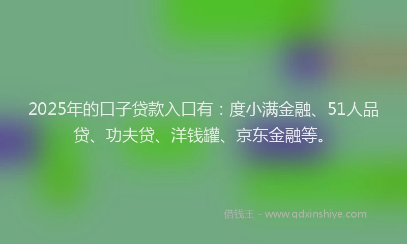 2025年的口子贷款入口有：度小满金融、51人品贷、功夫贷、洋钱罐、京东金融等。