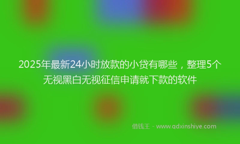 2025年最新24小时放款的小贷有哪些，整理5个无视黑白无视征信申请就下款的软件