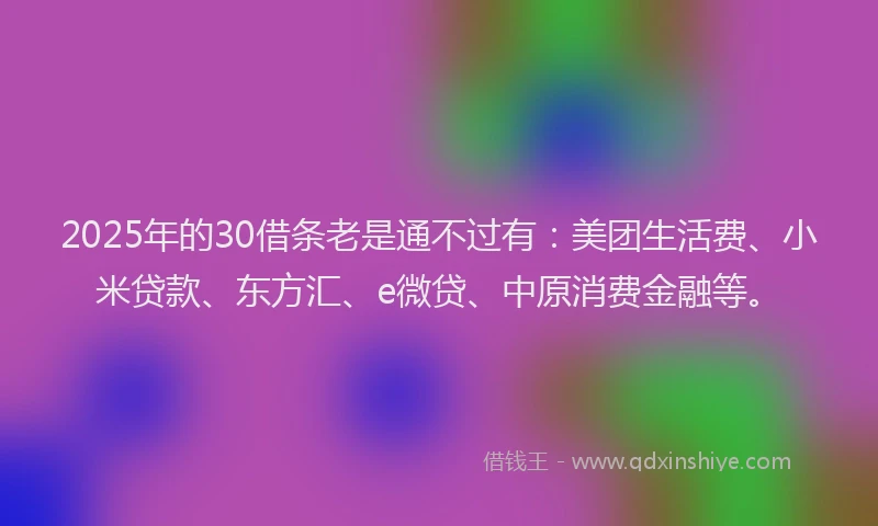 2025年的30借条老是通不过有：美团生活费、小米贷款、东方汇、e微贷、中原消费金融等。