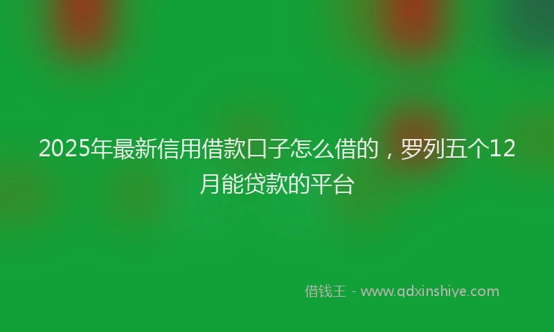 2025年最新信用借款口子怎么借的，罗列五个12月能贷款的平台