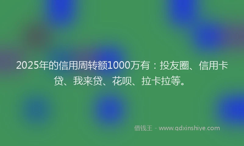 2025年的信用周转额1000万有：投友圈、信用卡贷、我来贷、花呗、拉卡拉等。