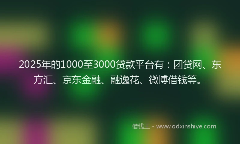 2025年的1000至3000贷款平台有：团贷网、东方汇、京东金融、融逸花、微博借钱等。