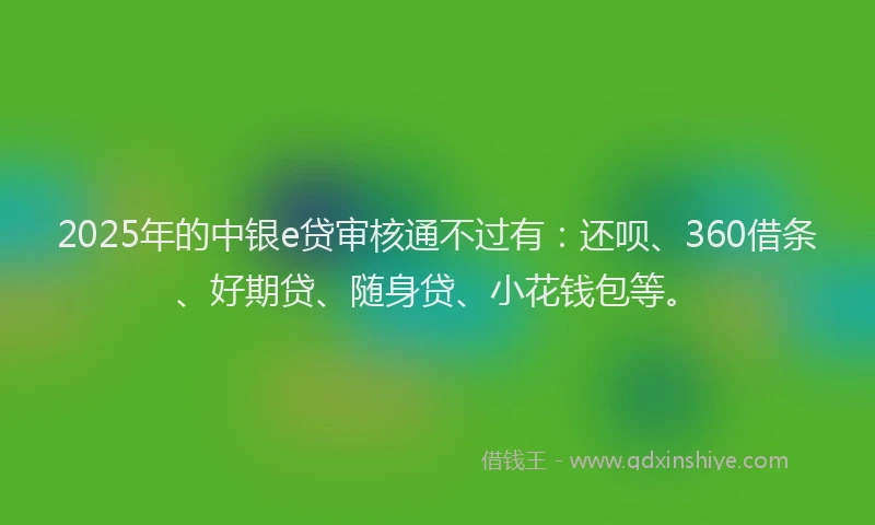 2025年的中银e贷审核通不过有：还呗、360借条、好期贷、随身贷、小花钱包等。