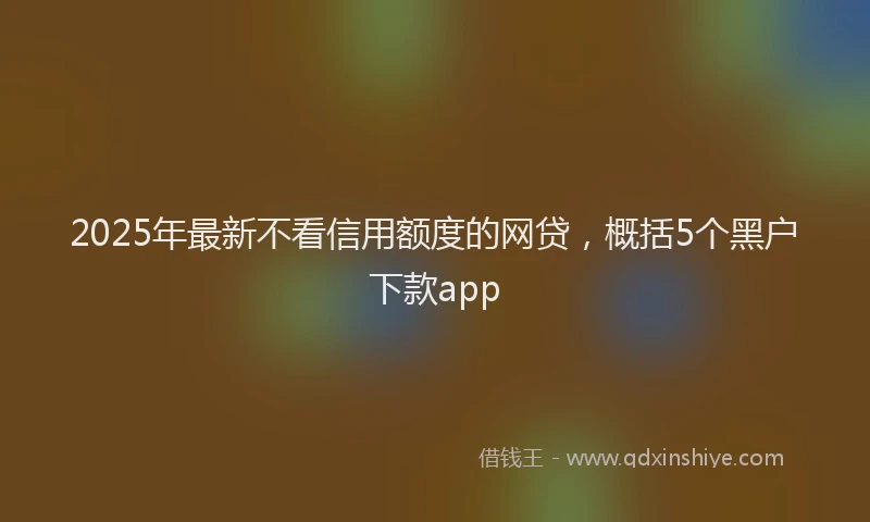 2025年最新不看信用额度的网贷，概括5个黑户下款app