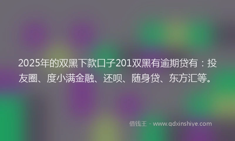 2025年的双黑下款口子201双黑有逾期贷有：投友圈、度小满金融、还呗、随身贷、东方汇等。