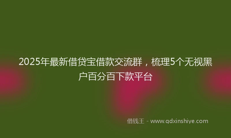 2025年最新借贷宝借款交流群，梳理5个无视黑户百分百下款平台