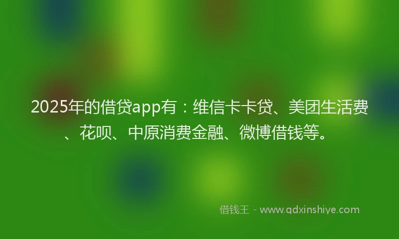 2025年的借贷app有：维信卡卡贷、美团生活费、花呗、中原消费金融、微博借钱等。