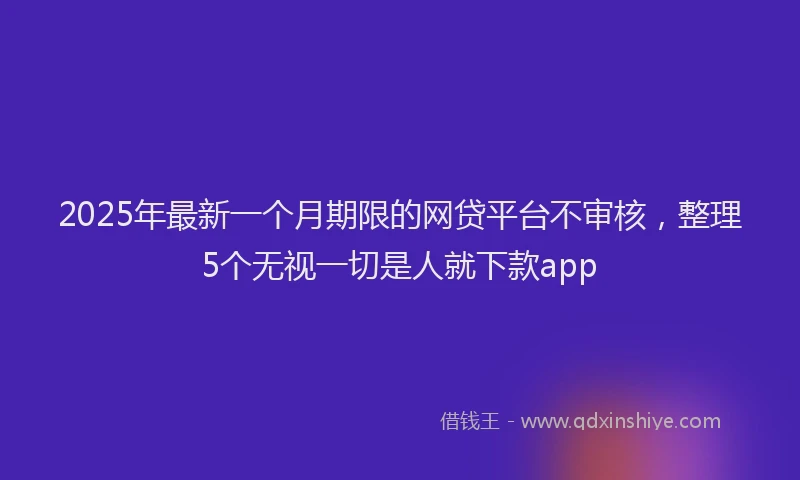 2025年最新一个月期限的网贷平台不审核，整理5个无视一切是人就下款app