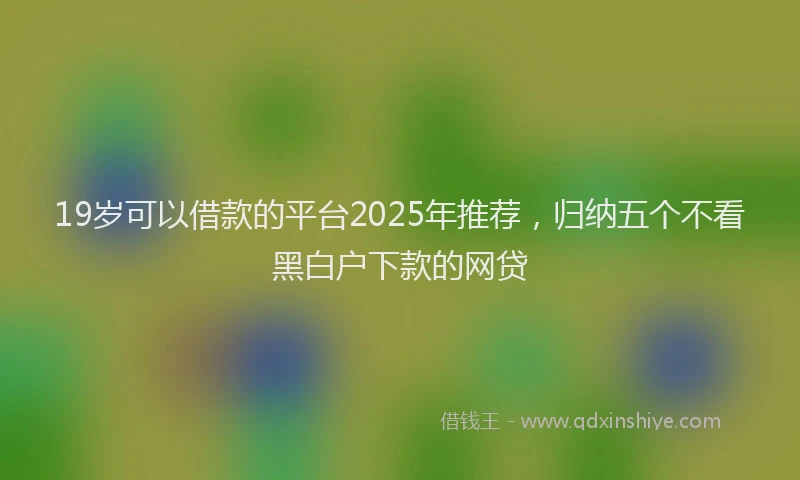 19岁可以借款的平台2025年推荐，归纳五个不看黑白户下款的网贷