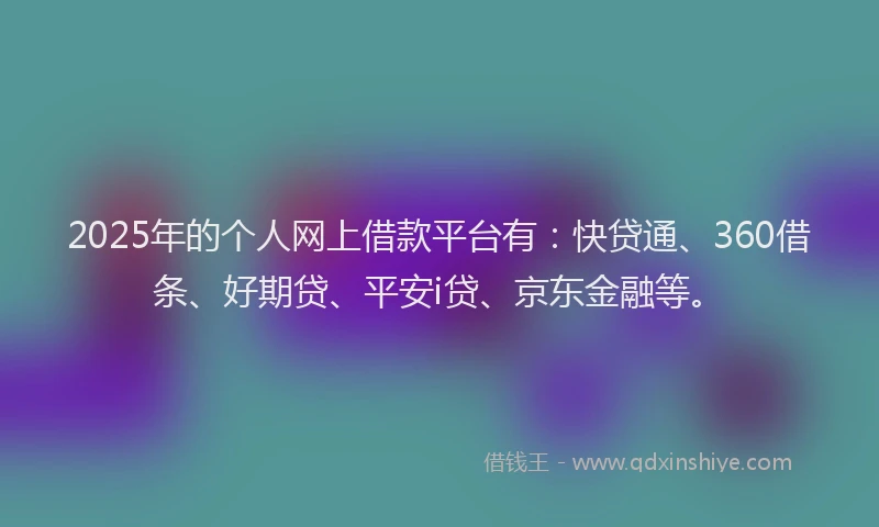 2025年的个人网上借款平台有：快贷通、360借条、好期贷、平安i贷、京东金融等。