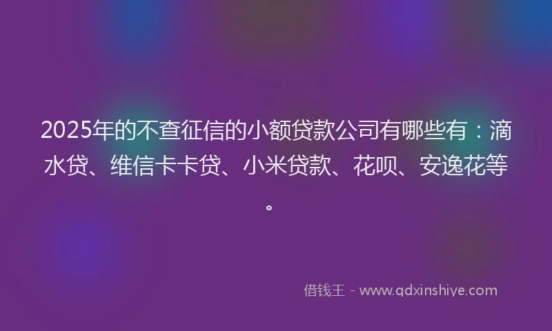 2025年的不查征信的小额贷款公司有哪些有：滴水贷、维信卡卡贷、小米贷款、花呗、安逸花等。