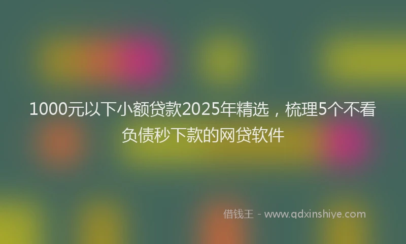1000元以下小额贷款2025年精选，梳理5个不看负债秒下款的网贷软件