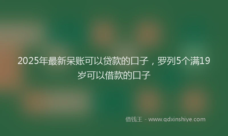 2025年最新呆账可以贷款的口子，罗列5个满19岁可以借款的口子