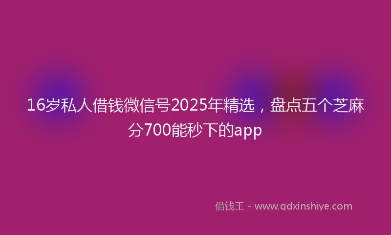 16岁私人借钱微信号2025年精选，盘点五个芝麻分700能秒下的app