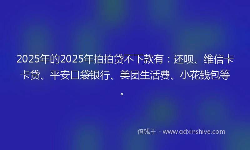 2025年的2025年拍拍贷不下款有：还呗、维信卡卡贷、平安口袋银行、美团生活费、小花钱包等。