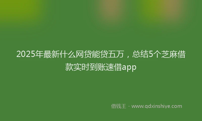 2025年最新什么网贷能贷五万，总结5个芝麻借款实时到账速借app