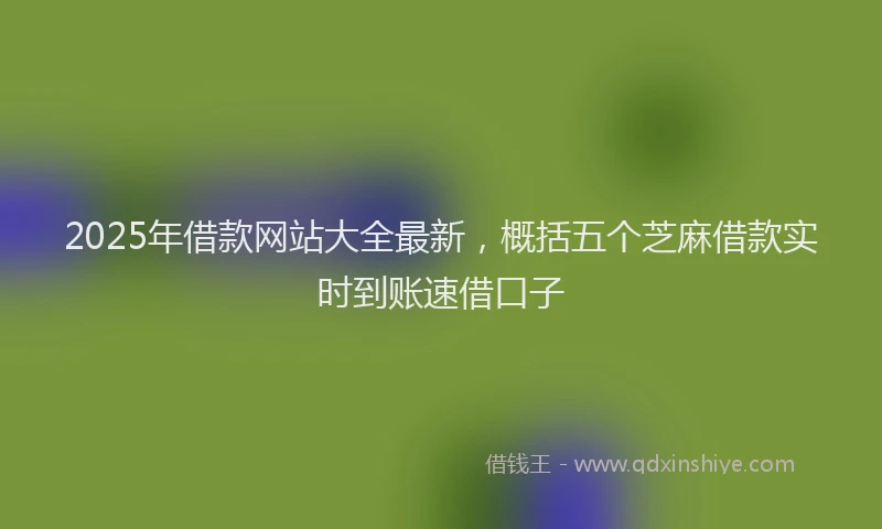 2025年借款网站大全最新，概括五个芝麻借款实时到账速借口子