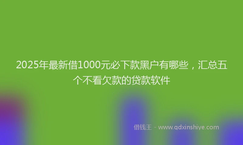 2025年最新借1000元必下款黑户有哪些，汇总五个不看欠款的贷款软件