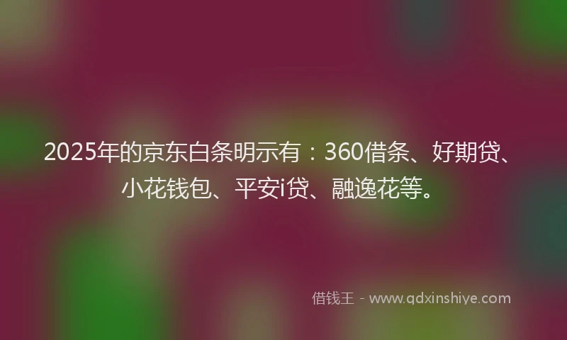 2025年的京东白条明示有：360借条、好期贷、小花钱包、平安i贷、融逸花等。