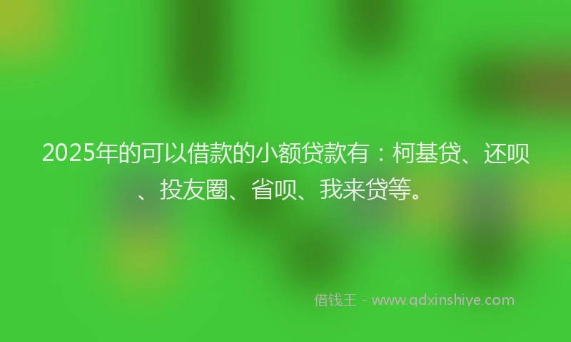 2025年的可以借款的小额贷款有：柯基贷、还呗、投友圈、省呗、我来贷等。