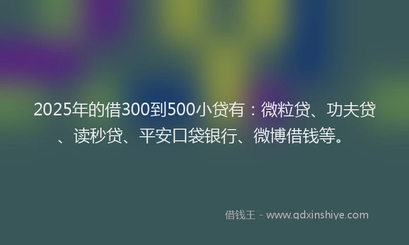 2025年的借300到500小贷有：微粒贷、功夫贷、读秒贷、平安口袋银行、微博借钱等。