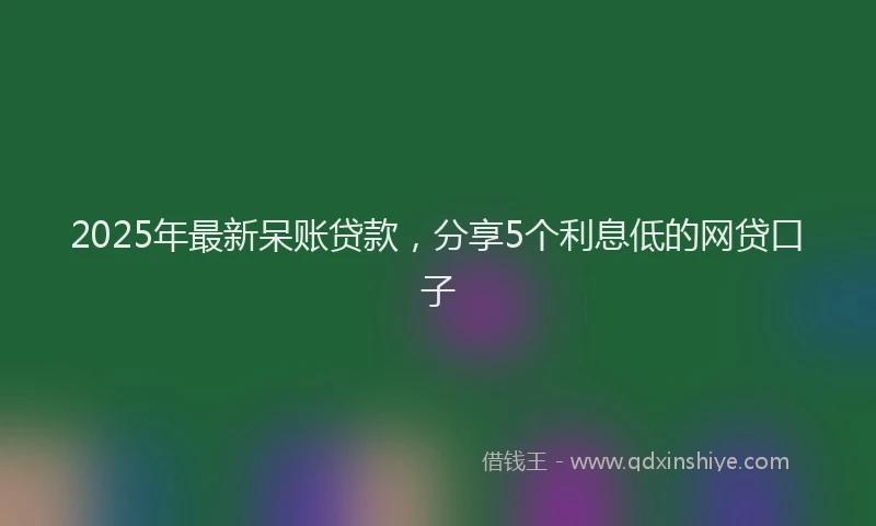 2025年最新呆账贷款，分享5个利息低的网贷口子