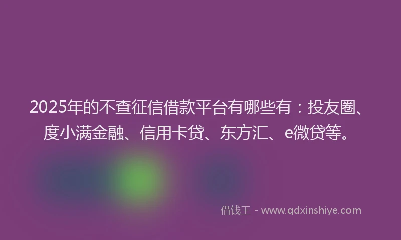 2025年的不查征信借款平台有哪些有：投友圈、度小满金融、信用卡贷、东方汇、e微贷等。