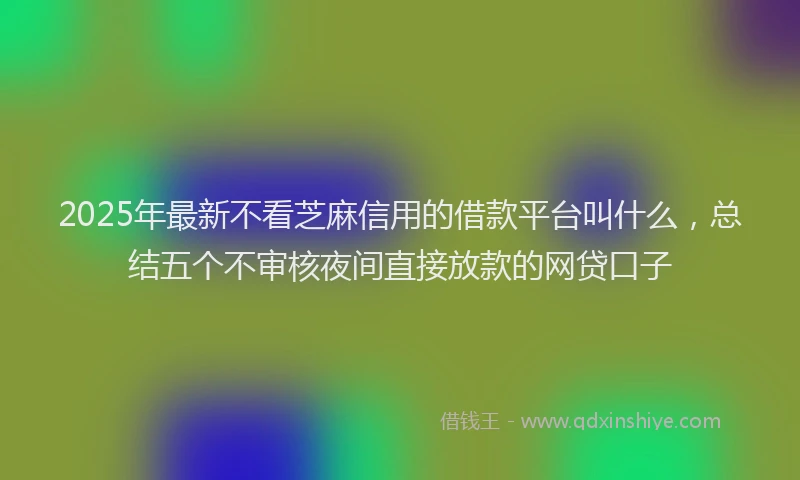 2025年最新不看芝麻信用的借款平台叫什么，总结五个不审核夜间直接放款的网贷口子