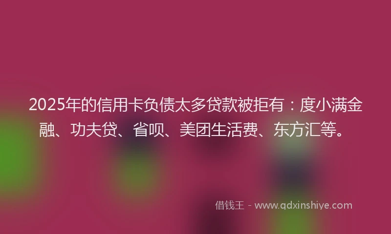 2025年的信用卡负债太多贷款被拒有：度小满金融、功夫贷、省呗、美团生活费、东方汇等。
