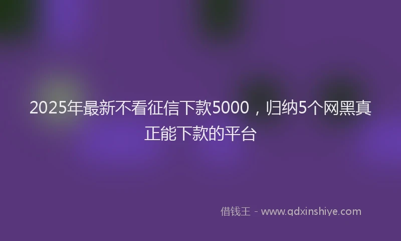 2025年最新不看征信下款5000，归纳5个网黑真正能下款的平台