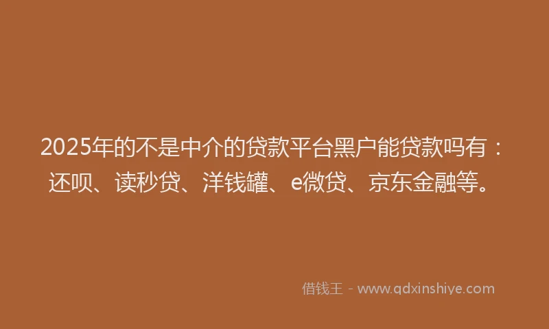 2025年的不是中介的贷款平台黑户能贷款吗有：还呗、读秒贷、洋钱罐、e微贷、京东金融等。