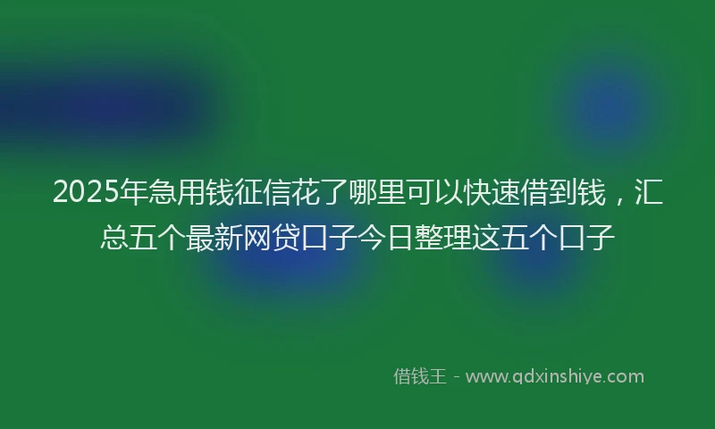 2025年急用钱征信花了哪里可以快速借到钱，汇总五个最新网贷口子今日整理这五个口子
